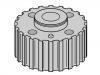 Crankshaft Gear:038 105 263 E