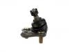 Ball Joint:43330-09090