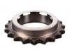 Crankshaft Gear:11 31 7 502 180