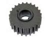 Crankshaft Gear:09129207