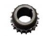 Crankshaft Gear:166 052 00 03