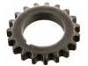 Crankshaft Gear:03E 105 209 P